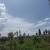 Land for Sale in Gikomero, Gasabo District