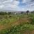 Kigali Residential Plot for Sale in Jabana Uphill